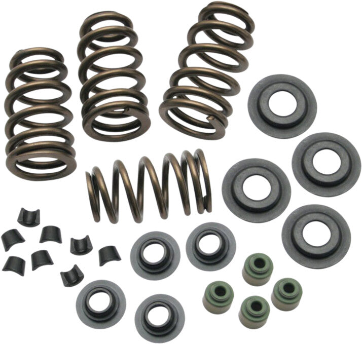 ROCKET CAMS, ROCKET CAMS BEEHIVE CONVERSION SPRING KIT EVO BT 84-03 .650 LIFT 4101-04-01